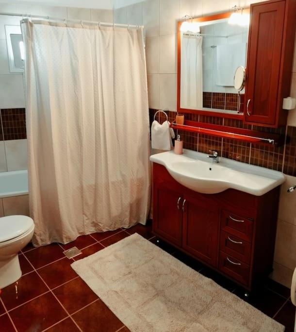 Evaggelia'S Apartments 5 Οικογενειακό Διαμέρισμα Kozáni Eksteriør bilde